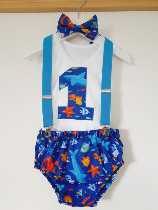 Boys 1st Birthday Outfit, Size 1