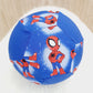 Balloon Ball Cover - Balloon Balls - Handmade Fabric Balloon Cover