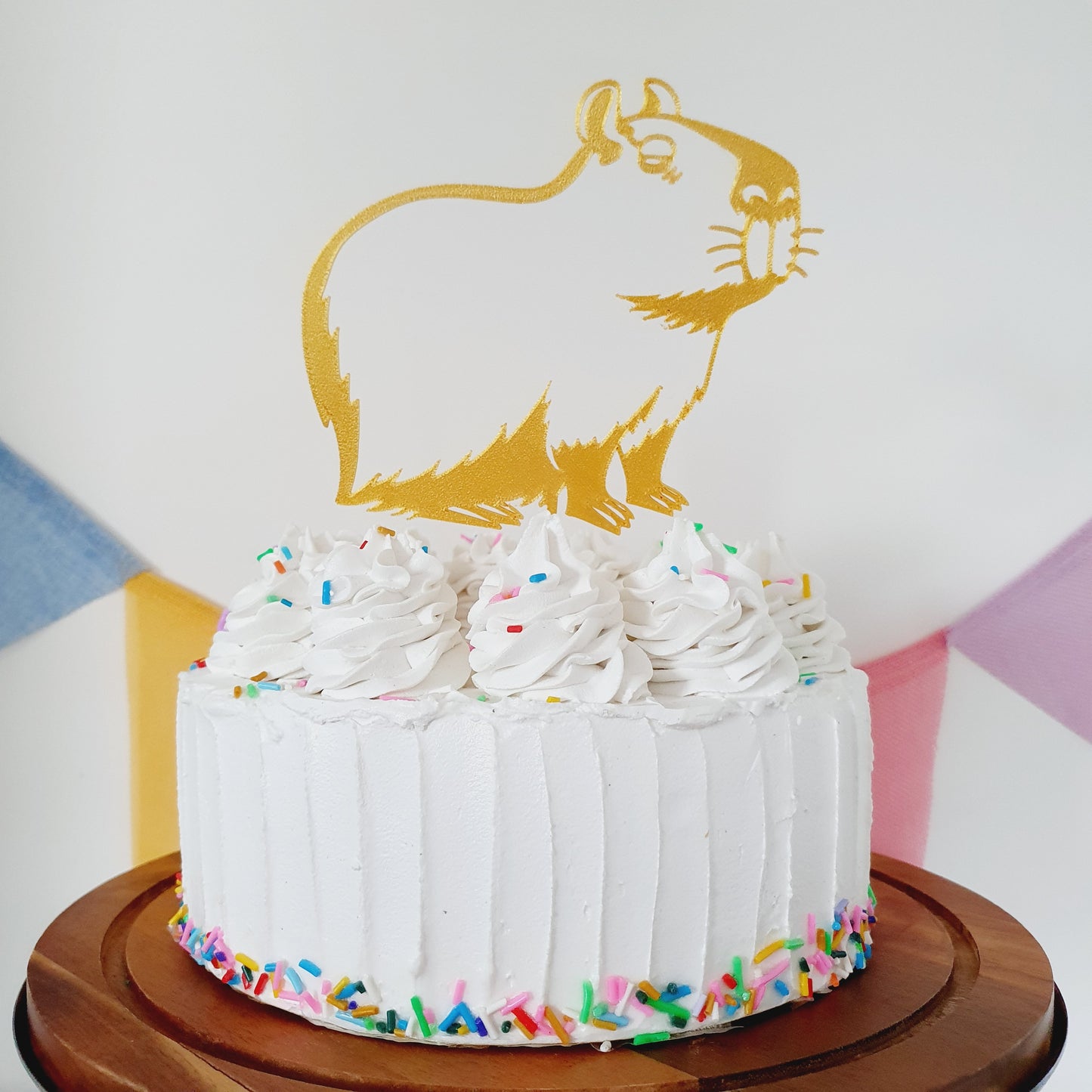 CAPYBARA Cake Topper