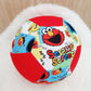 Balloon Ball Cover - Balloon Balls - Handmade Fabric Balloon Cover - SESAME STREET print