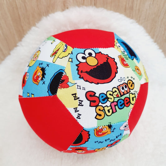 Balloon Ball Cover - Balloon Balls - Handmade Fabric Balloon Cover - SESAME STREET print